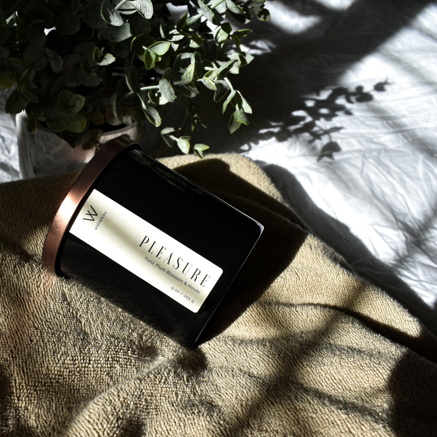 Pleasure Intentions Candle